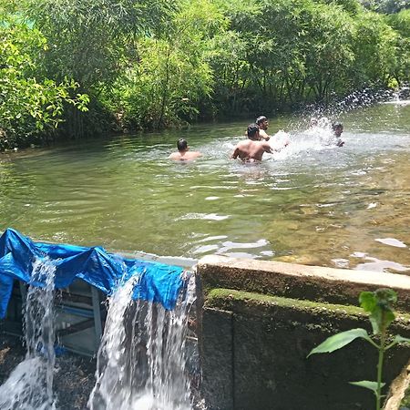 Tharayil Farm Stay Вагамон Экстерьер фото