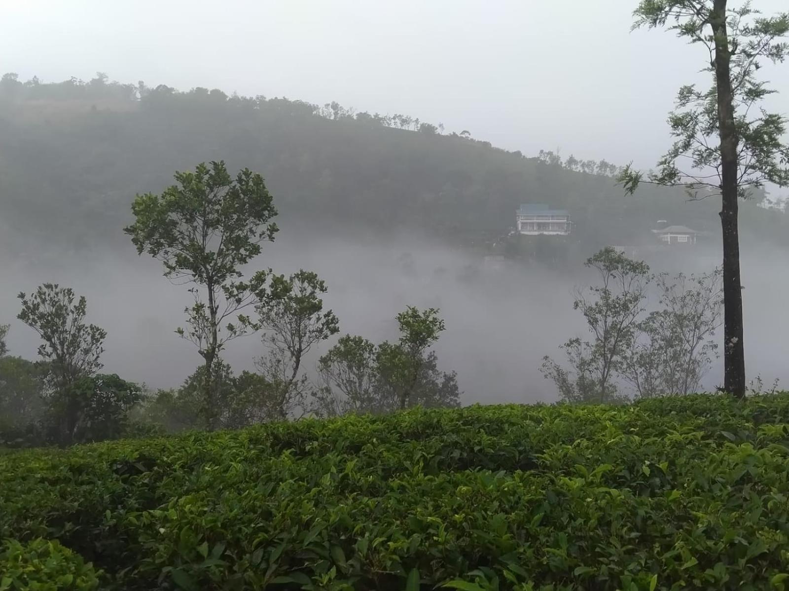Tharayil Farm Stay Вагамон Экстерьер фото