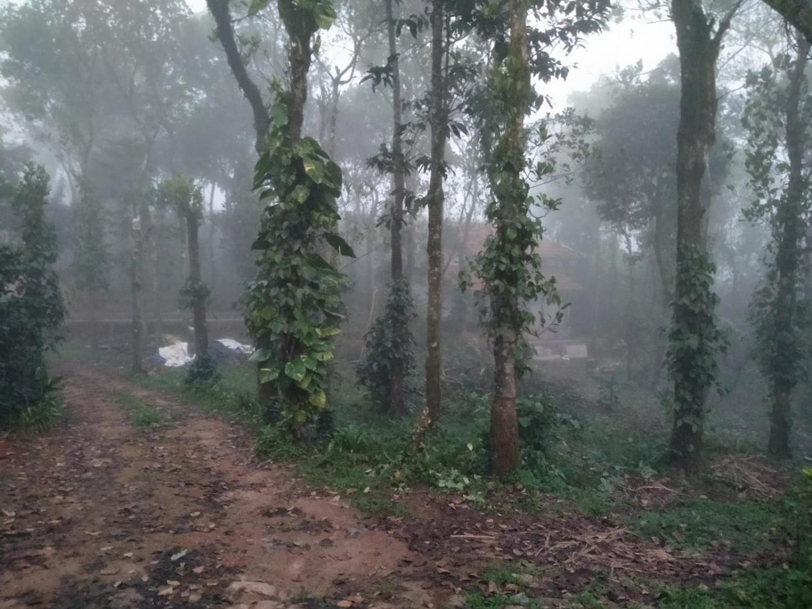 Tharayil Farm Stay Вагамон Экстерьер фото