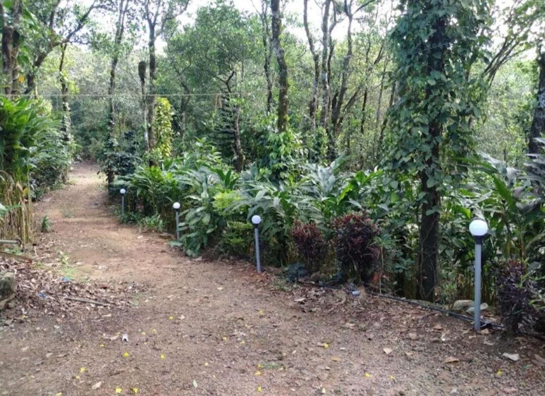 Tharayil Farm Stay Вагамон Экстерьер фото