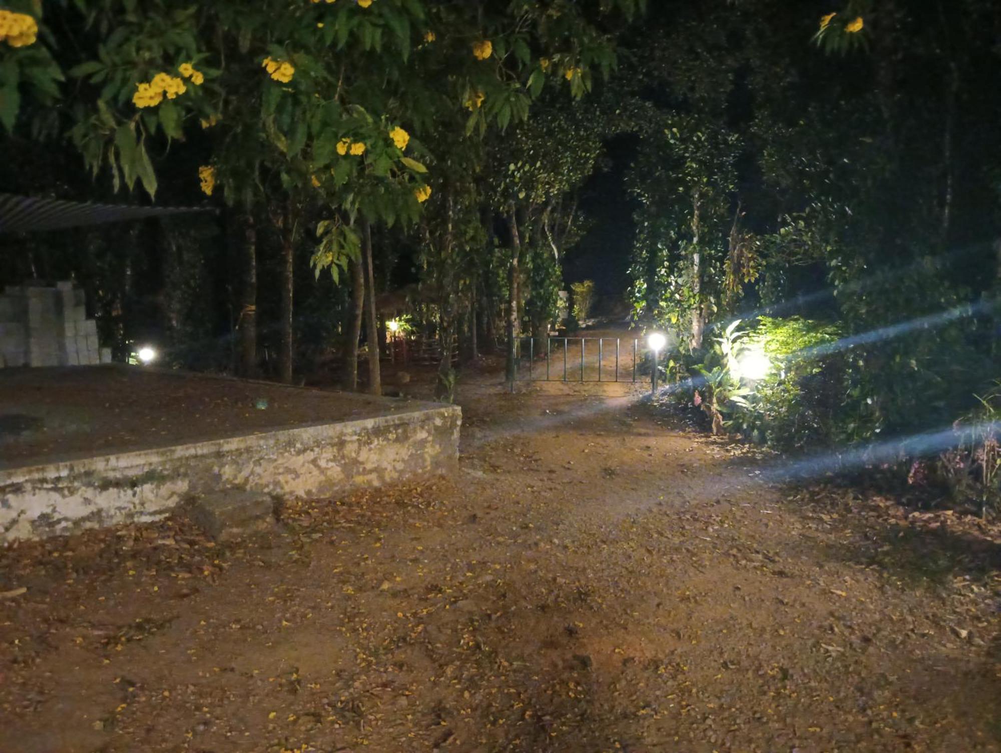 Tharayil Farm Stay Вагамон Экстерьер фото