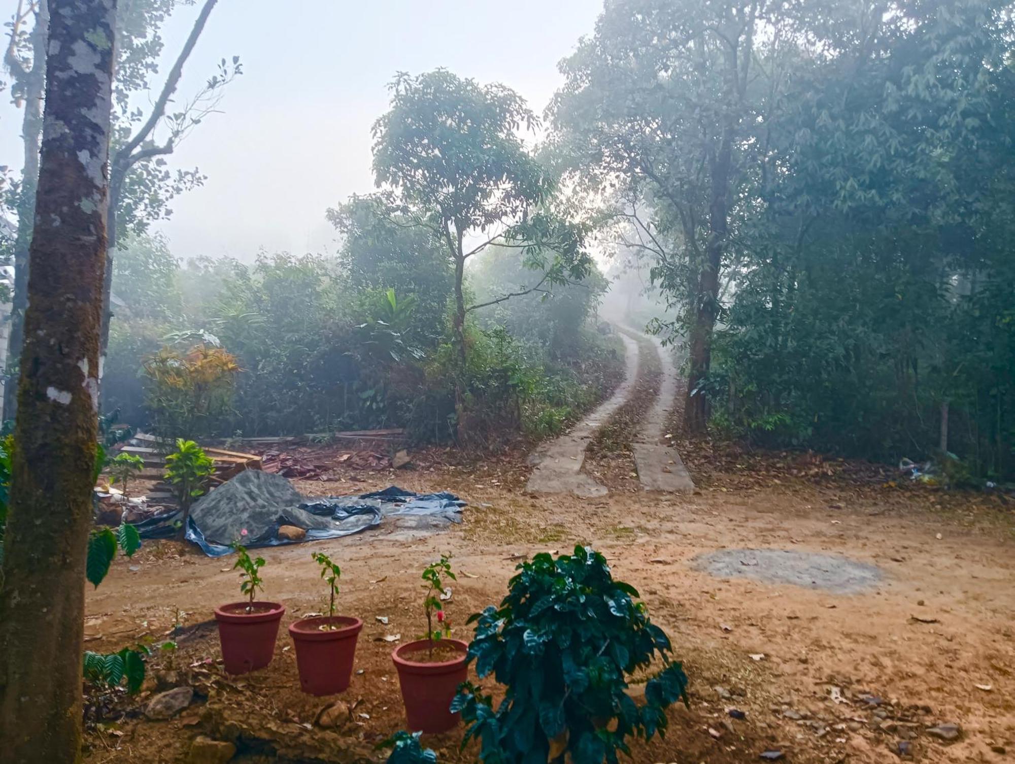 Tharayil Farm Stay Вагамон Экстерьер фото