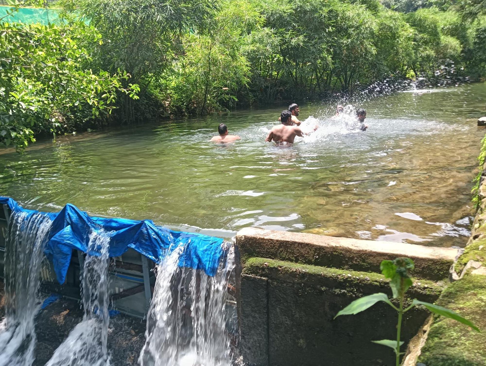 Tharayil Farm Stay Вагамон Экстерьер фото